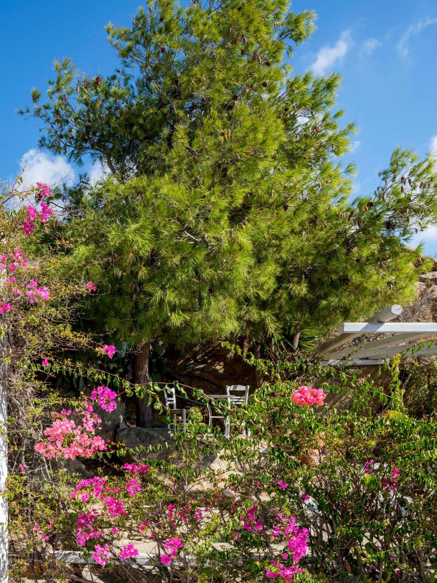 Baybees Sea View Residence Платис Ялос Экстерьер фото